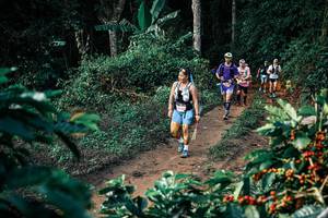 BIB: 
                            <button type="button" onclick="openModal(25827561)" class="btn btn-primary btn-sm float-right btn-popup" data-toggle="modal" data-target=".modal-high-quality">
                        <i class="fas fa-shopping-cart"></i> Add to Cart
                    </button>
                                            <button type="button" onclick="isThisMe(25827561, true)" class="btn btn-success btn-sm float-right btn-popup btn-isme hidden" data-toggle="tooltip" data-placement="bottom" title="นี่คือรูปของคุณใช่ไหม คลิกที่นี่เพื่อเอาเข้าอัลบั้ม">
                        <i class="fas fa-plus"></i> Add to album
                    </button>
                    <button type="button" onclick="isThisMe(25827561, false)" class="btn btn-warning btn-sm float-right btn-popup btn-isnotme hidden">
                        <i class="fas fa-ban"></i> Remove from album
                    </button>